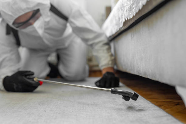 Professional Termite Control technician working in Denison, TX