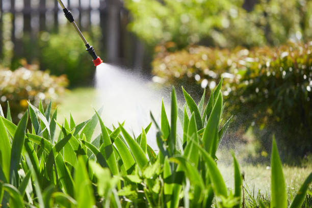 24/7 Emergency Termite Control experts in Denison, TX