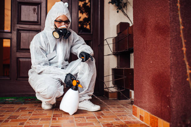 Reliable Termite Control contractor in Denison, TX by Nex Pest Control