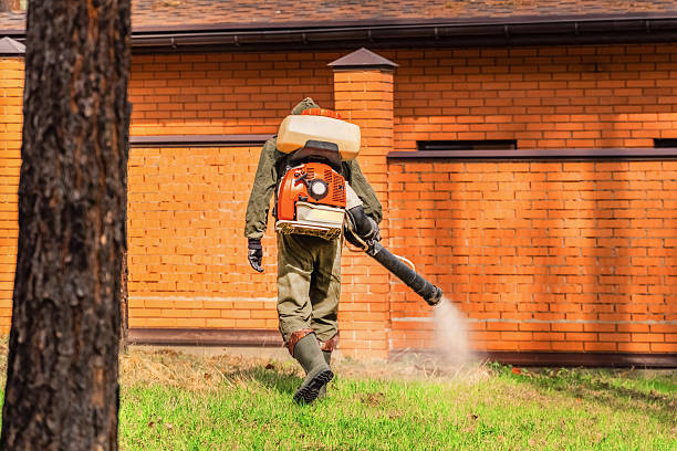 Top rated local Termite Control specialists in Denison, TX